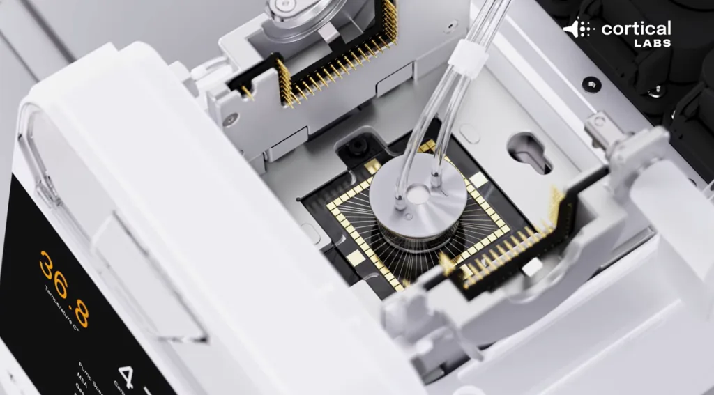 200 Mil Neurônios Humanos Vivos em um Chip Jogando Doom: Computador Biológico CL1 da Cortical Labs