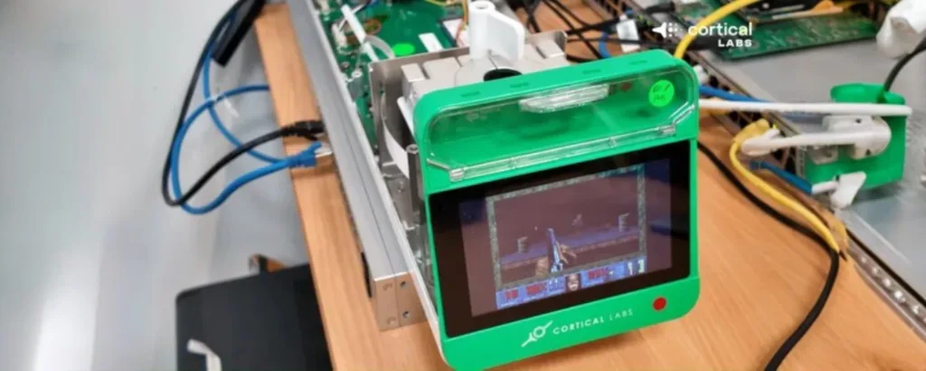 Computador biológico CL1