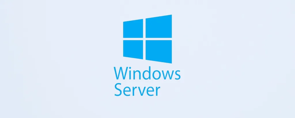 Windows 11