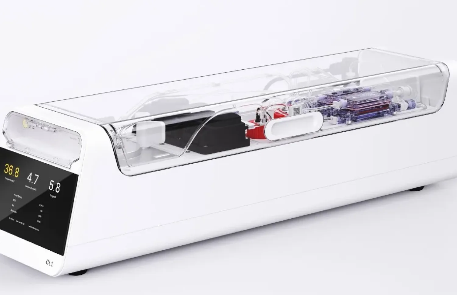 Computador biológico CL1