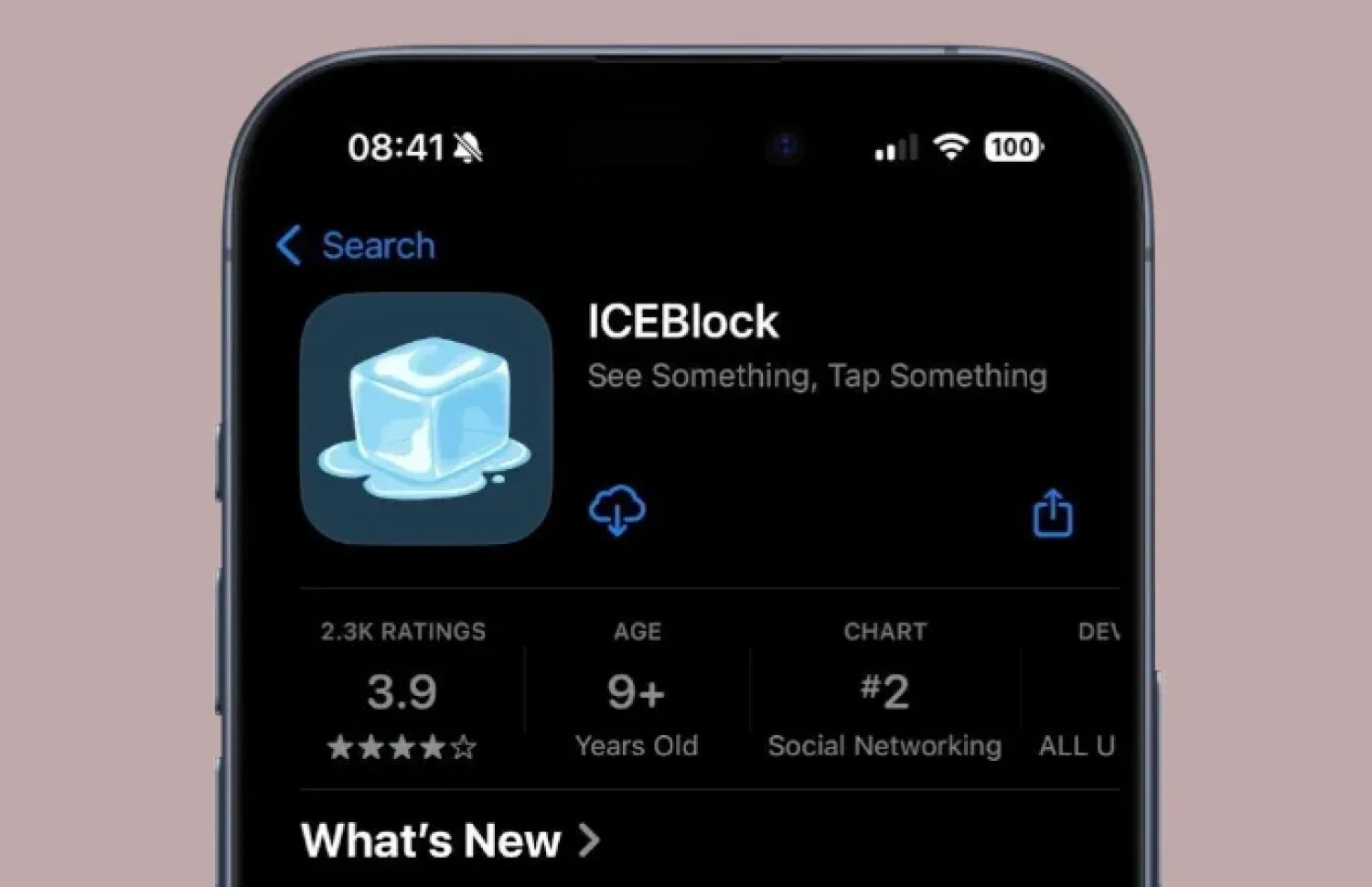 ICEBlock: O Aplicativo que Alertava Imigrantes sobre Agentes Federais e que foi banido pela Apple e pelo Google